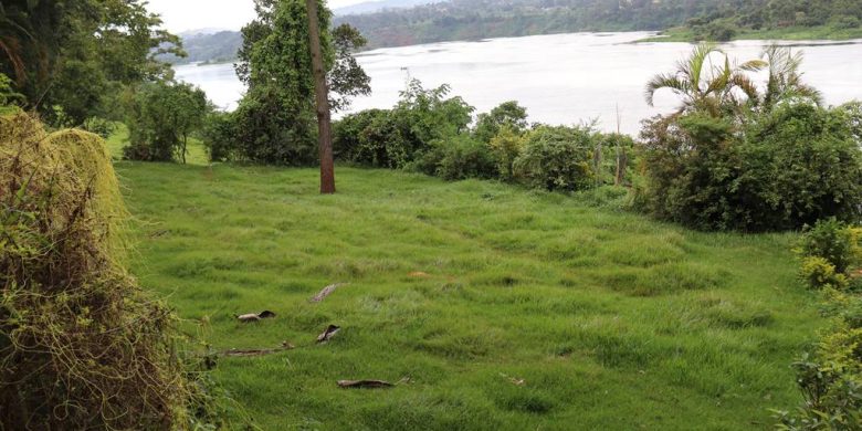 2.5 acres for sale in Buwajali at 650m