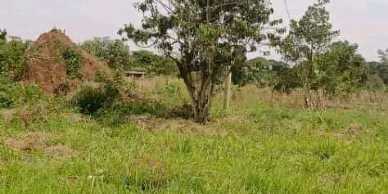 100 acres of farmland for sale in Luwero Nalongo at 12m per acre