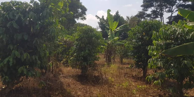 4 acres of land for sale in Bombo Ndejje at 35m per acre
