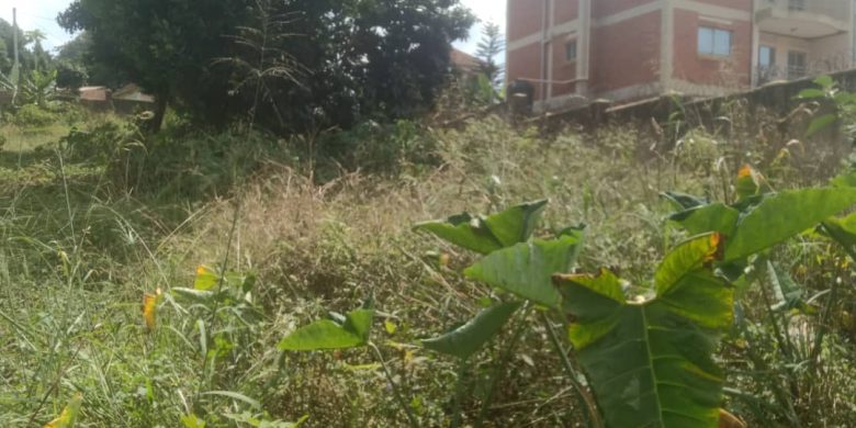 25 decimals plot of landf or sale in Mbalwa at 350m
