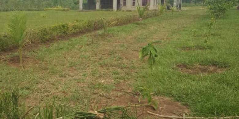 1 acre of land for sale in Mbale Busoba at 40m Uganda shillings