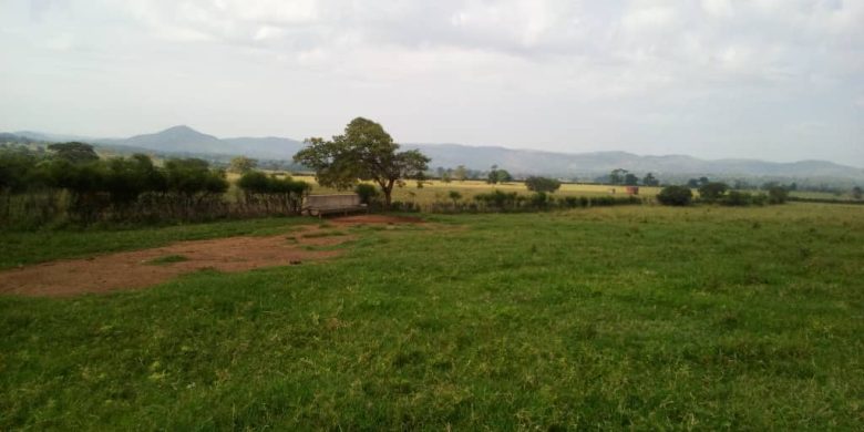 640 acres of farm land for sale in Kibaale at 3.5m per acre
