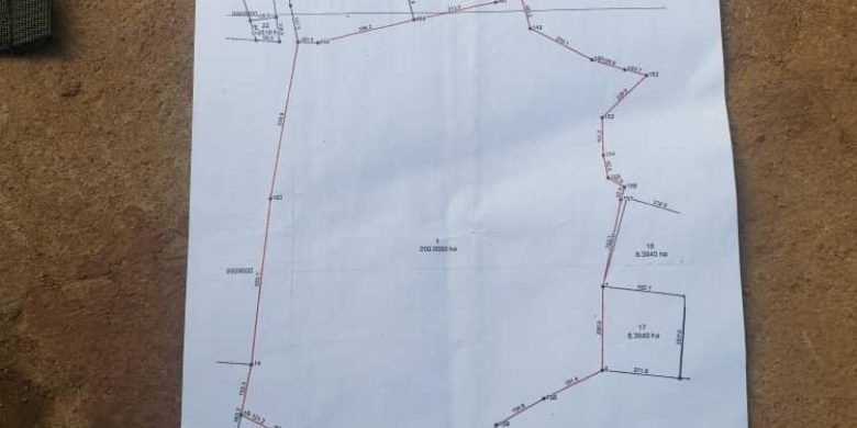 495 acre island for sale in Buyovu at 7.5m per acre