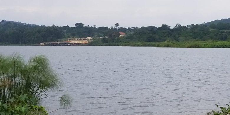 4 acres of land for sale in Mpata Mpenja at 280m per acre