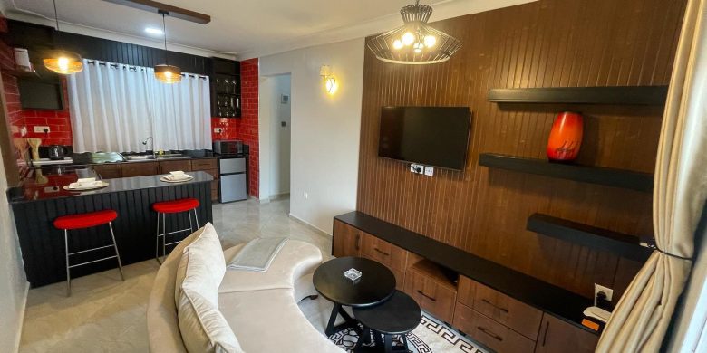 1 bedrooms apartments for rent in Muyenga at 65 USD