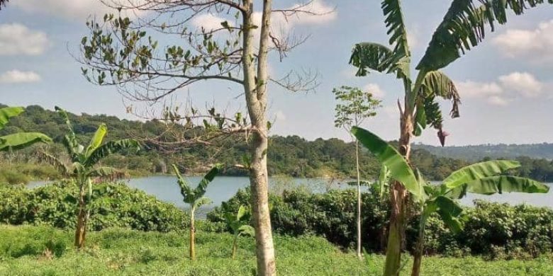 35 acres of land for sale in Mukono at 30m per acre