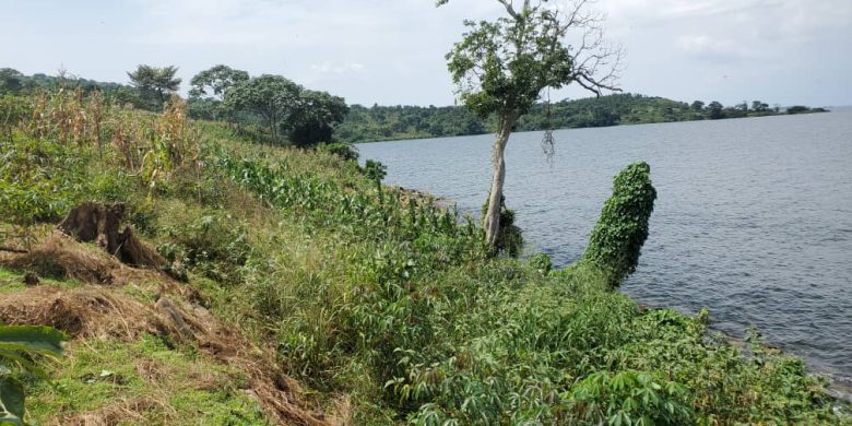 15 Acres Of Lake Front Land For Sale In Bukunja