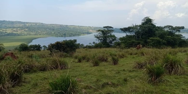 100 acres of land for sale in Buikwe at 15m per acre