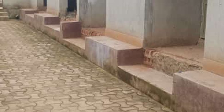 WhatsApp Image 2023-09-30 at 4.38.58 PM (1)