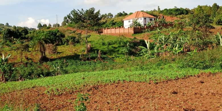 4 acres of land for sale in Kisubi Entebbe Road at 170m per acre