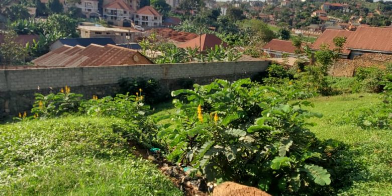 plot of land of 22 decimals for sale in Ntinda,