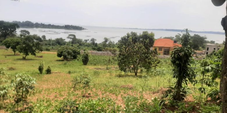 25 decimals plot of land for sale in Bugiri Entebbe road at 160m