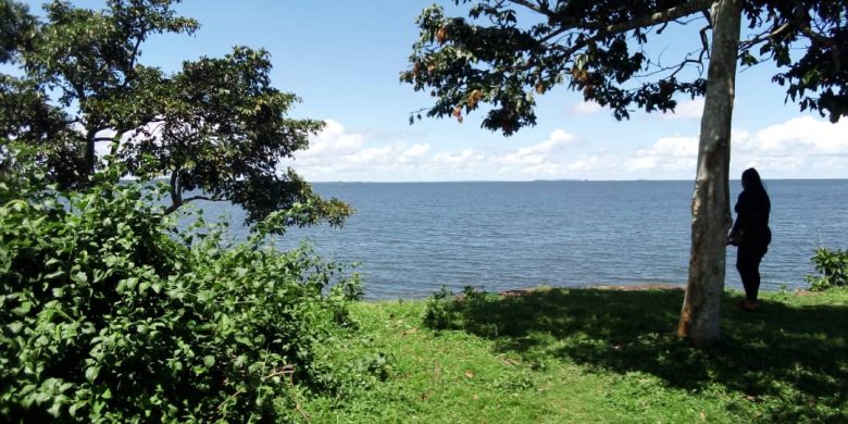 44 lakeview acres of land for sale in Kasanje 100m per acre