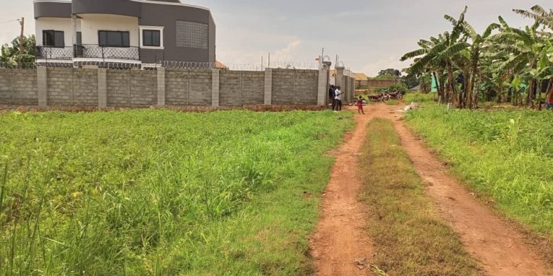 50x100ft Plots For Sale In Gayaza Kabubu At 25m Shillings Each