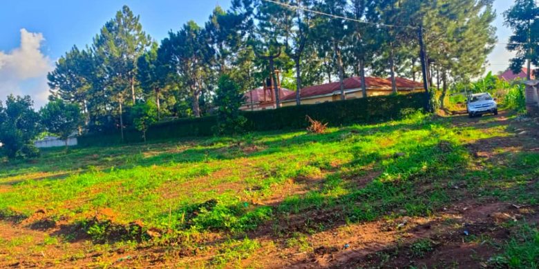 15 plots of land of 50x100ft for sale in Kira Bulindo