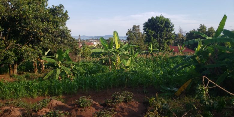 a plot of land for sale in Muyenga with a lakeview of 30 decimals 800m