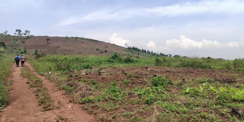 20 Acres on Quick Sale in Kiwenda At 150m Per Acre