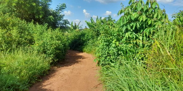 100 Acres Of Farm Land For Sale In Luwero Kamira 6m Per Acre