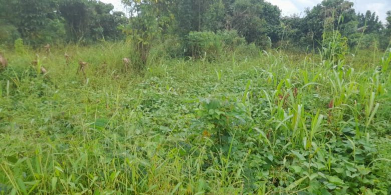 400 Acres Of Land For Sale In Kiwoko Nakaseke District 5m Per Acre