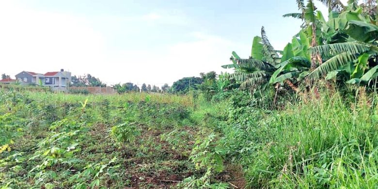 50 Decimals Plot Of Land For Sale In Kira Kitukutwe At 170m