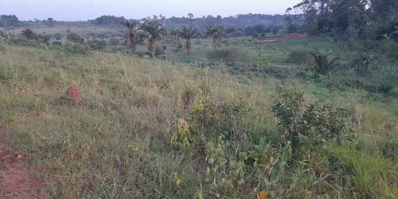 8 Plots Of Land On 1.14 Acres For Sale In Kagala Bukerere All At 200m Shillings