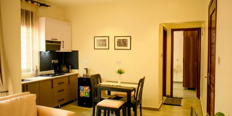 1 Bedroom Fully Furnished Apartments For Rent In Mbuya 1500 USD Monthly