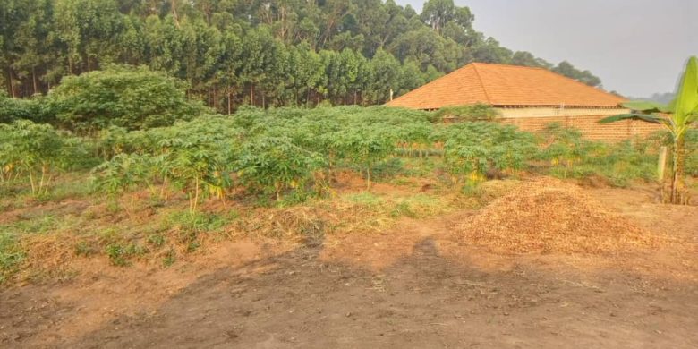 50x100ft Plots Of Land For Sale In Gayaza Kiwenda At 20m Each