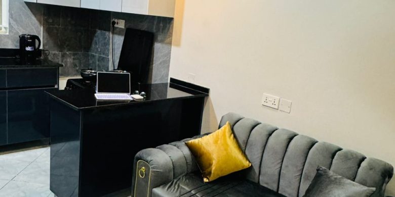 1 Bedroom Fully Furnished Apartment For Rent In Munyonyo $1,000 Monthly
