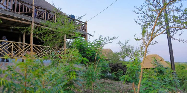 Safari Lodge For Sale In Kasese On 4.5 Acres At $250,000