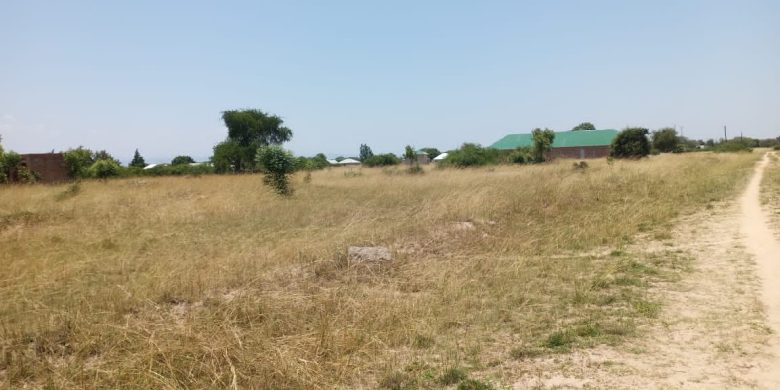 180 Acres Of Freehold Land For Sale In Kabale Nyamasoga Hoima 15m Per Acre